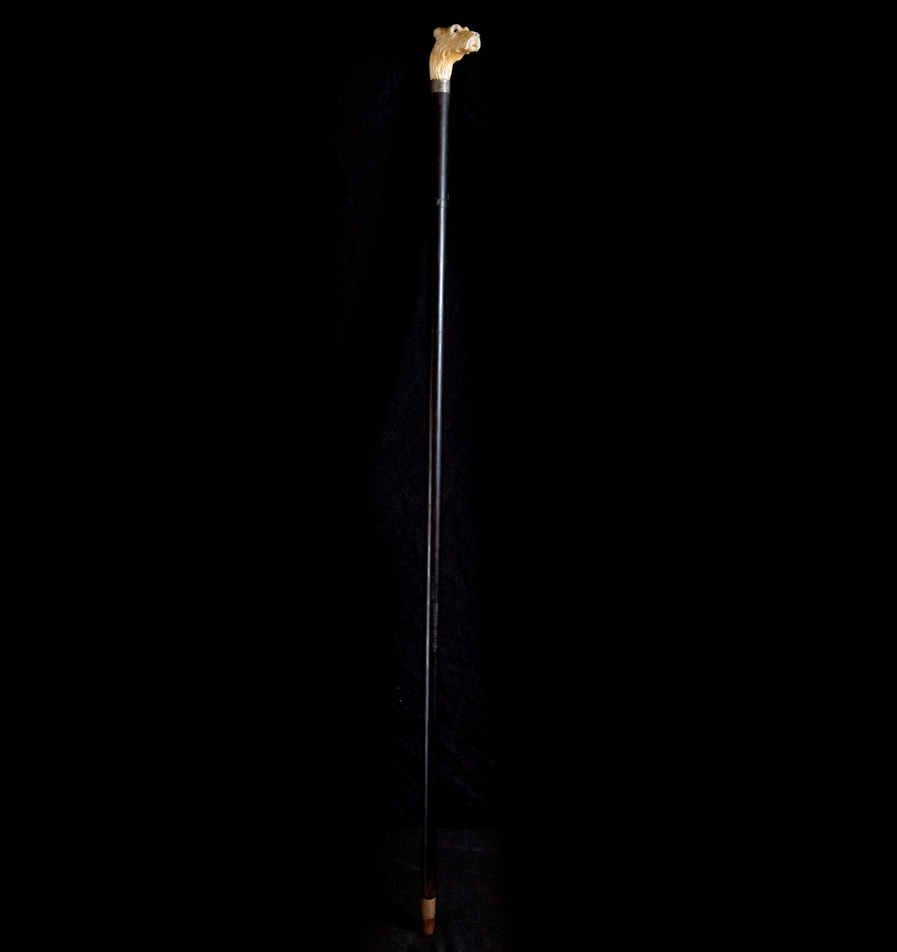 Victorian Walking Cane with Carved Dog's Head in Antler and Fan Body, England, 19th Century - Image 2 of 4