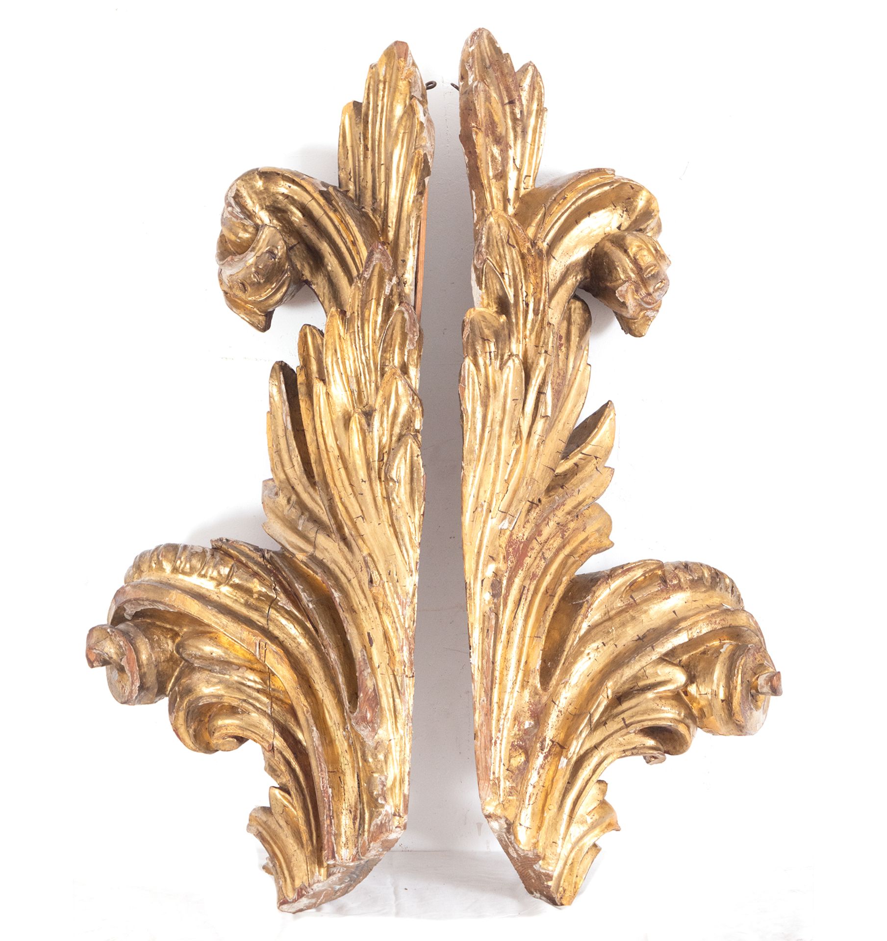 Pair of Large Auctions in gilded wood, 18th century