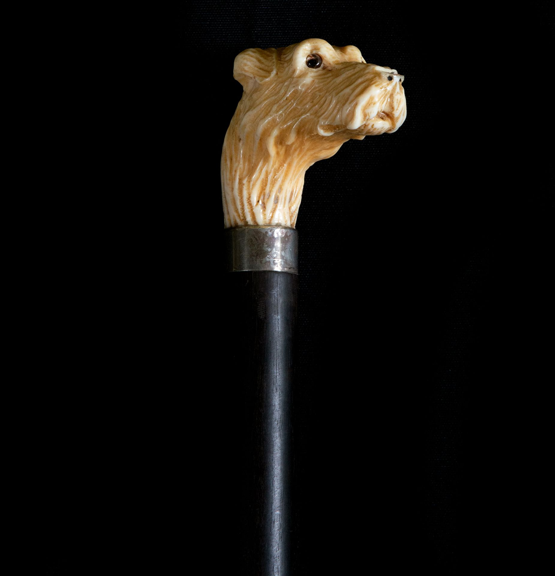 Victorian Walking Cane with Carved Dog's Head in Antler and Fan Body, England, 19th Century - Image 3 of 4