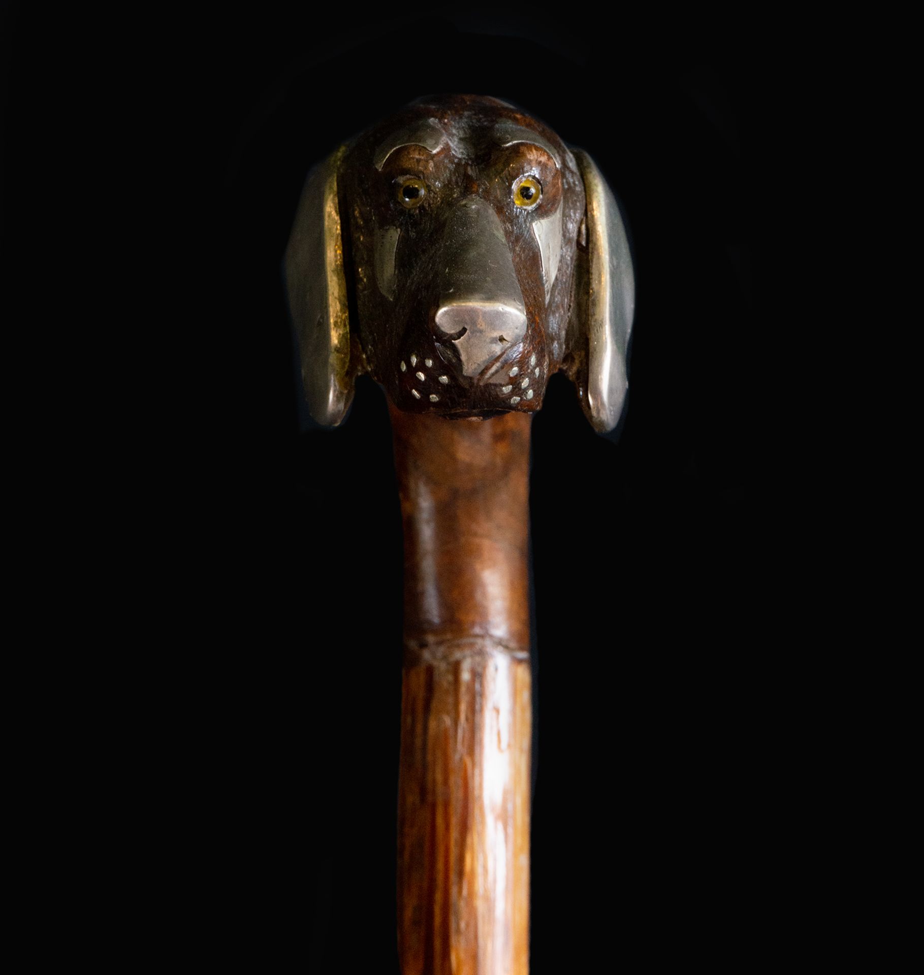 German walking stick with silver inlaid Dog handle, 19th - 20th centuries - Image 3 of 4