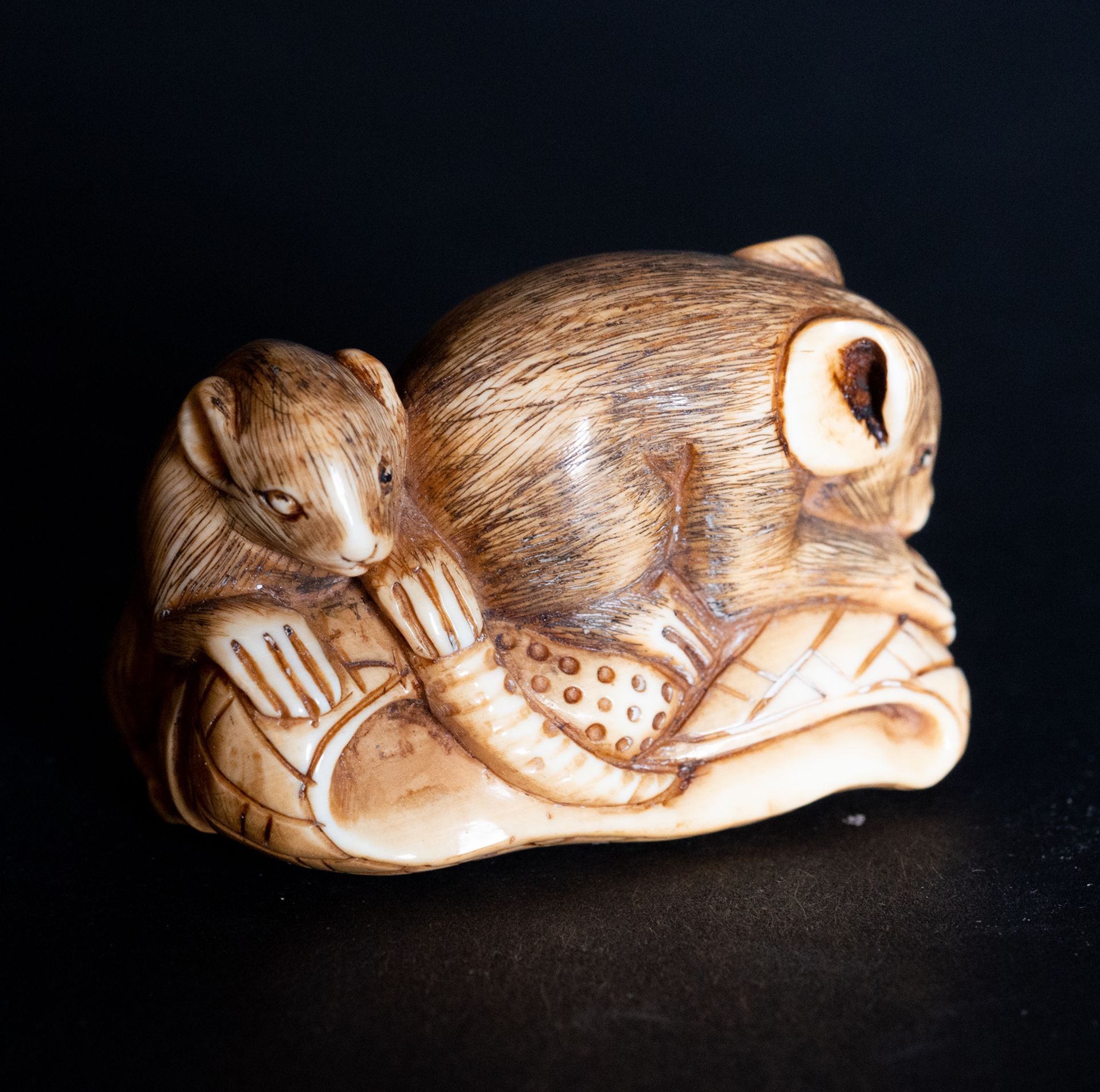 Netsuke of a pair of mice in Mammoth ivory, 20th century - Image 6 of 6