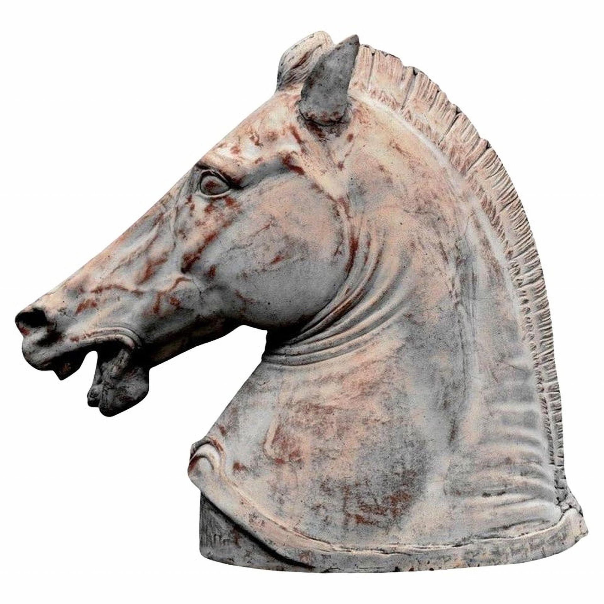Large and Decorative Horse Head from the Parthenon of Athens, following models of Classical Greece,  - Bild 2 aus 3