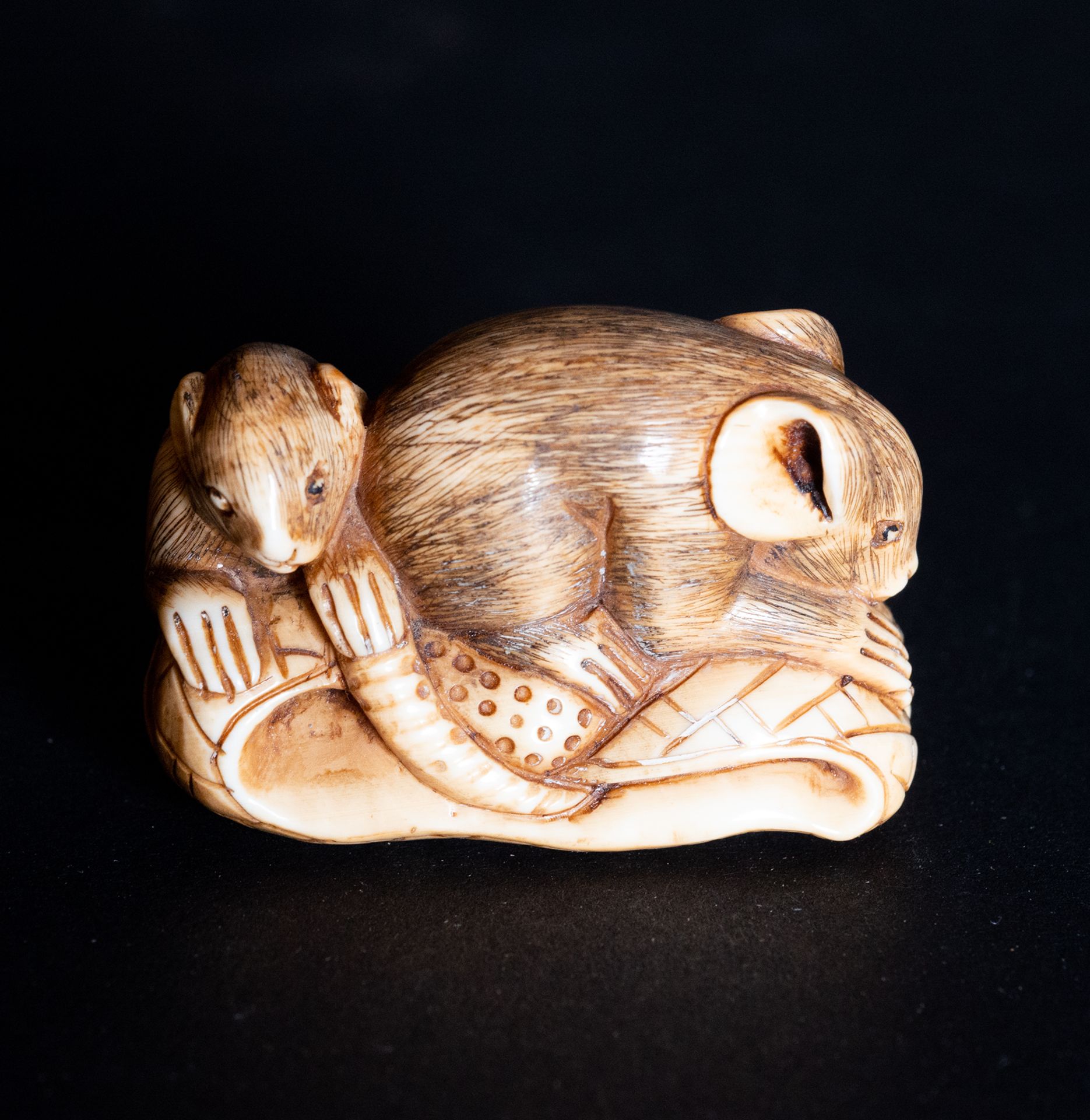 Netsuke of a pair of mice in Mammoth ivory, 20th century