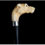 Victorian Walking Cane with Carved Dog's Head in Antler and Fan Body, England, 19th Century