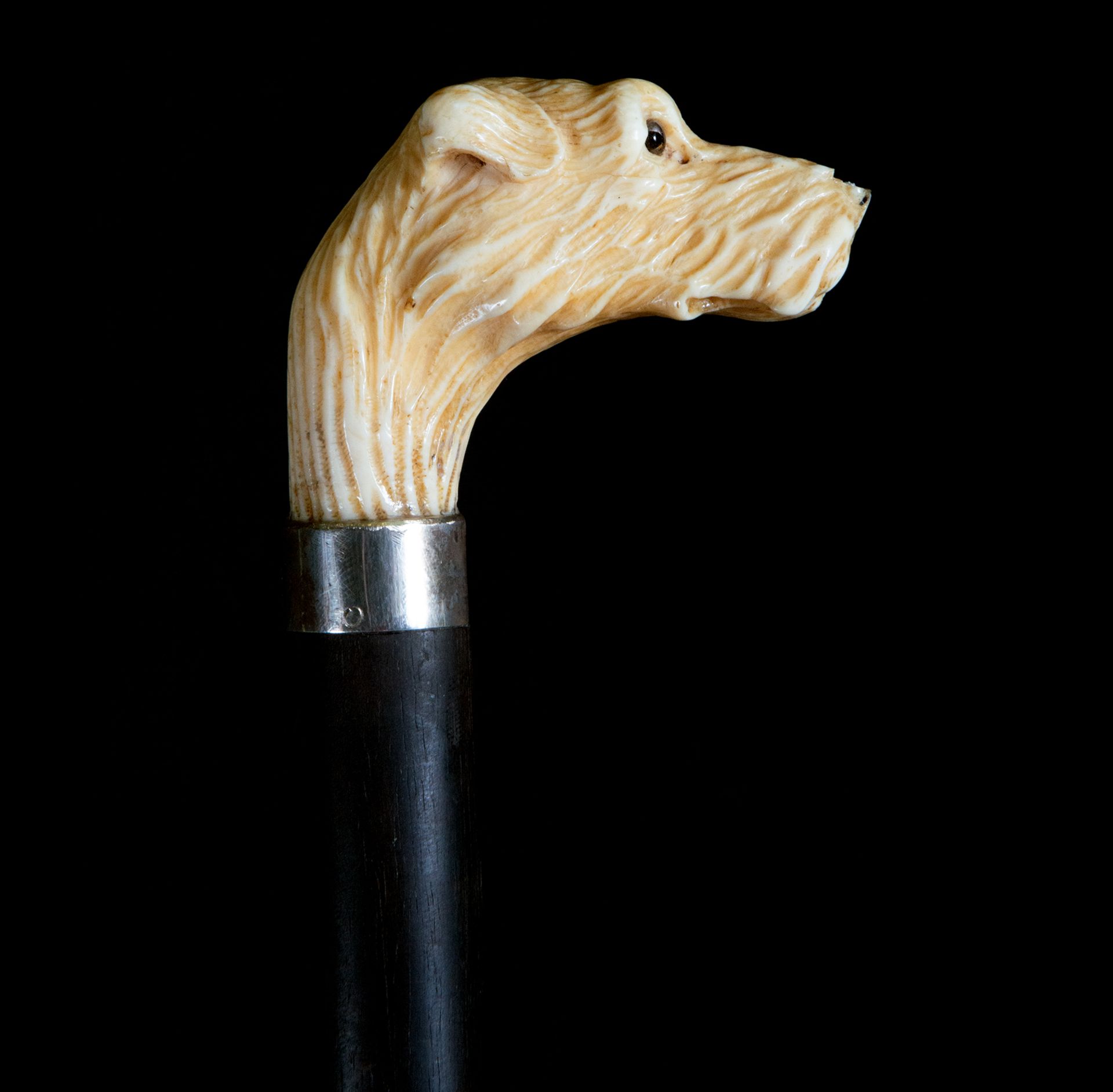 Victorian Walking Cane with Carved Dog's Head in Antler and Fan Body, England, 19th Century