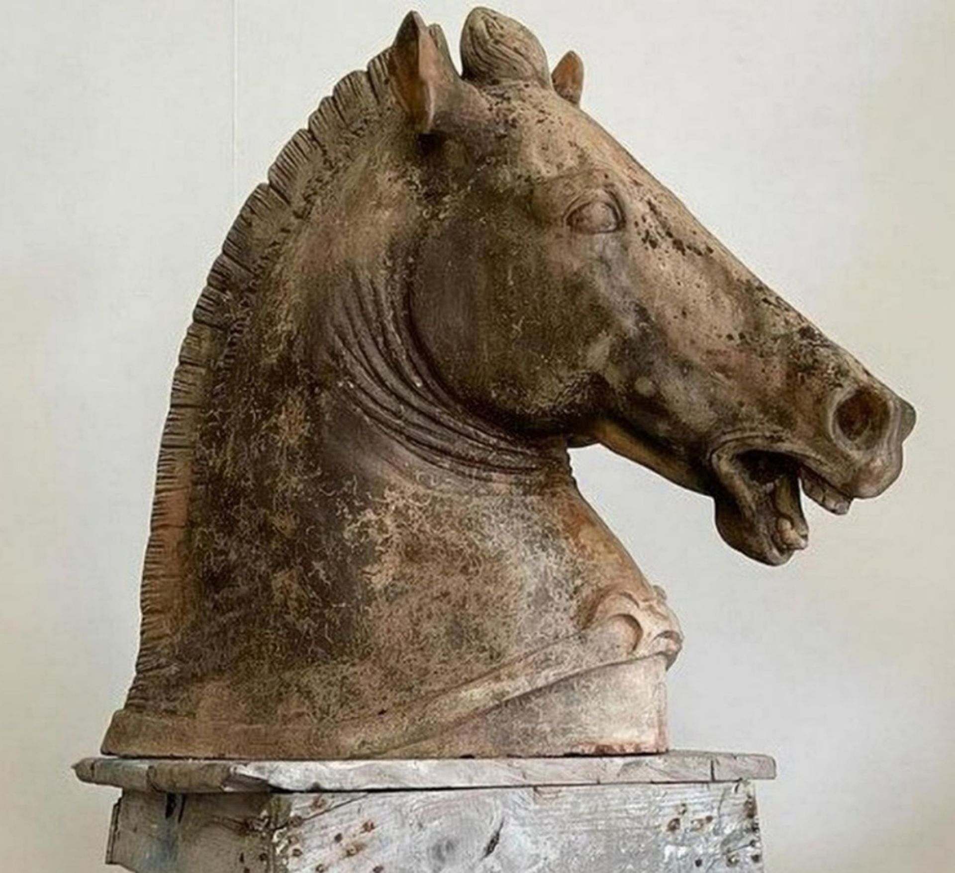 Large and Decorative Horse Head from the Parthenon of Athens, following models of Classical Greece,  - Bild 3 aus 3