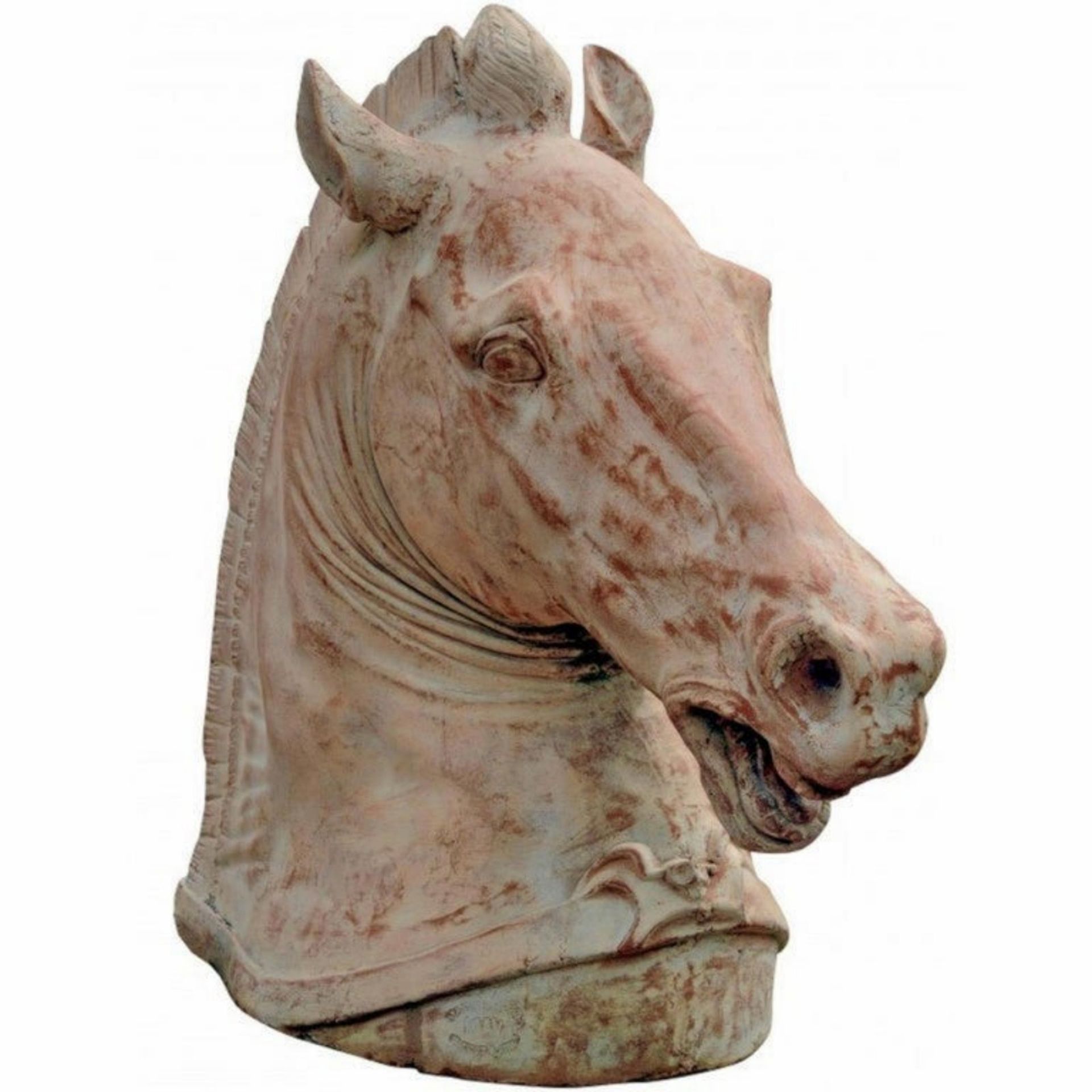 Large and Decorative Horse Head from the Parthenon of Athens, following models of Classical Greece, 