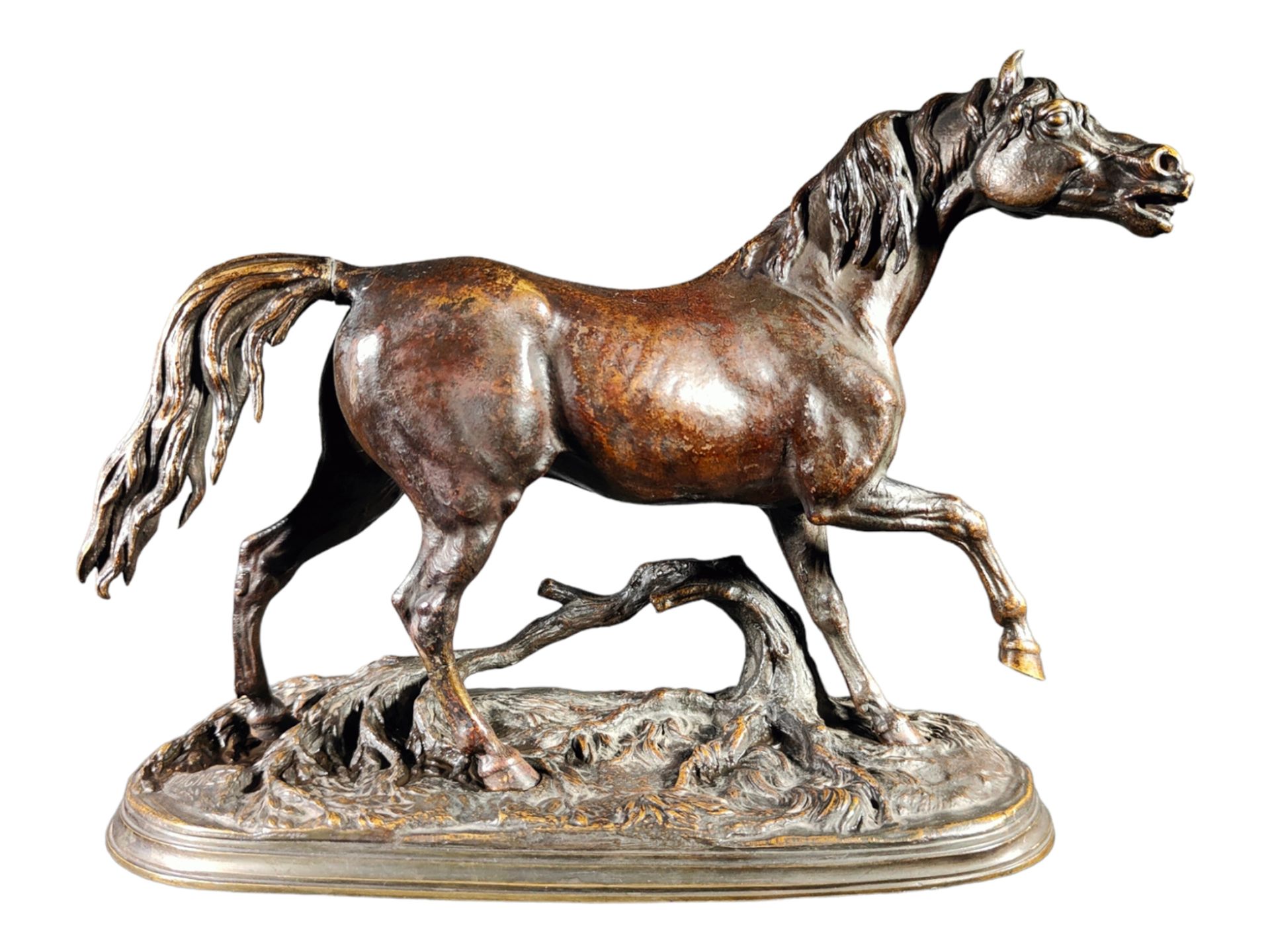 Jules Moigniez (1835-1894), Bronze Horse, 19th century French school