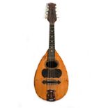 Mandolin in fruit and rosewood marquetry, 19th - 20th century