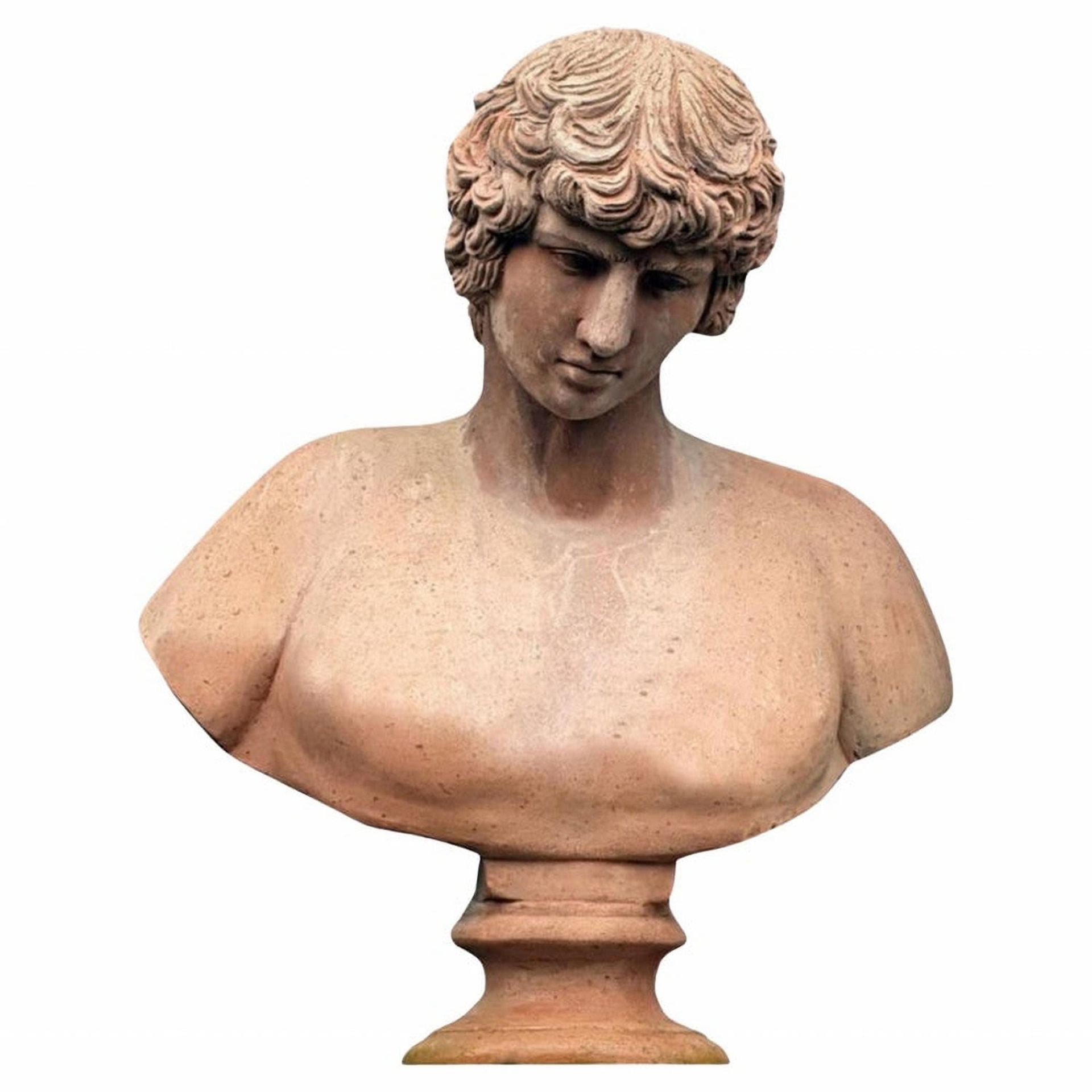 Life Size Garden Decor "Antinous" terracotta bust, 19th century, Italian