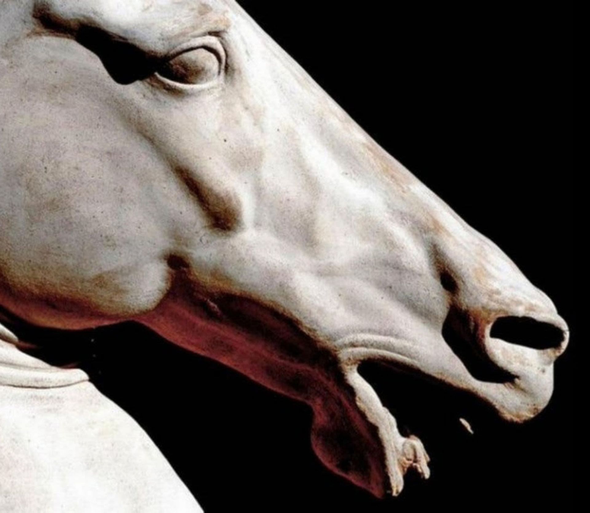 Horse Head in Carrara Marble, Italy, 20th century - Image 3 of 4