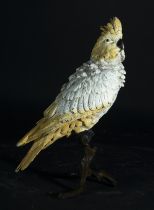 Cockatoo in polychrome bronze, Franz Xavier Bergman (Vienna, Austria, 1861 – 1936), Vienna School of