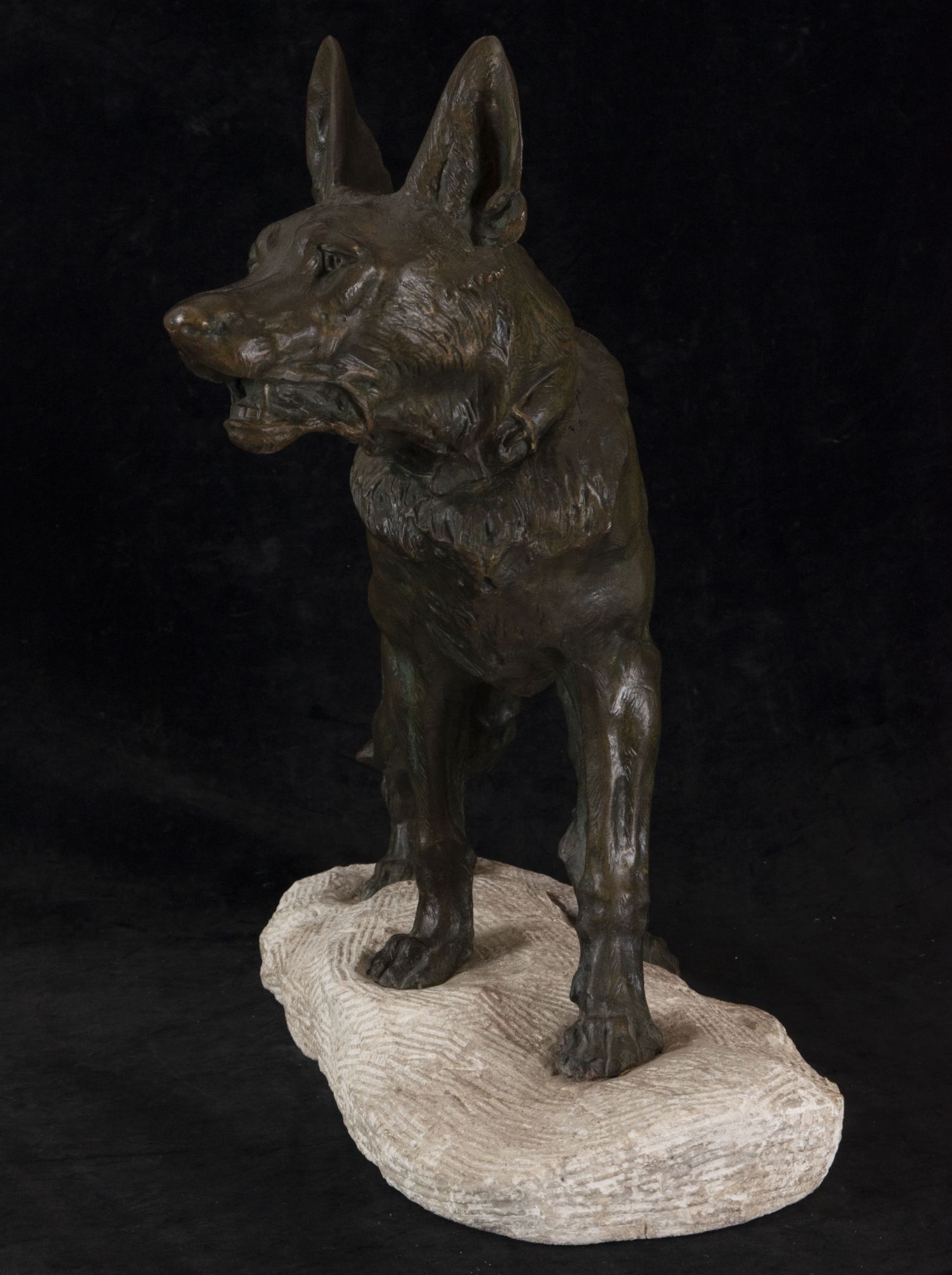 German Shepherd in Bronze, signed on the base Thomas Cartier (1879-1943), 1920s - Image 3 of 4