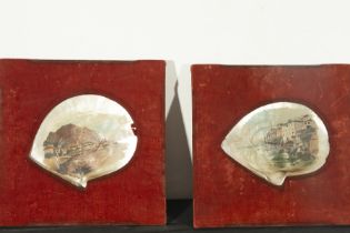 Pair of Mother of Pearl Shells, Philippines, 19th century