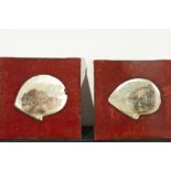 Pair of Mother of Pearl Shells, Philippines, 19th century