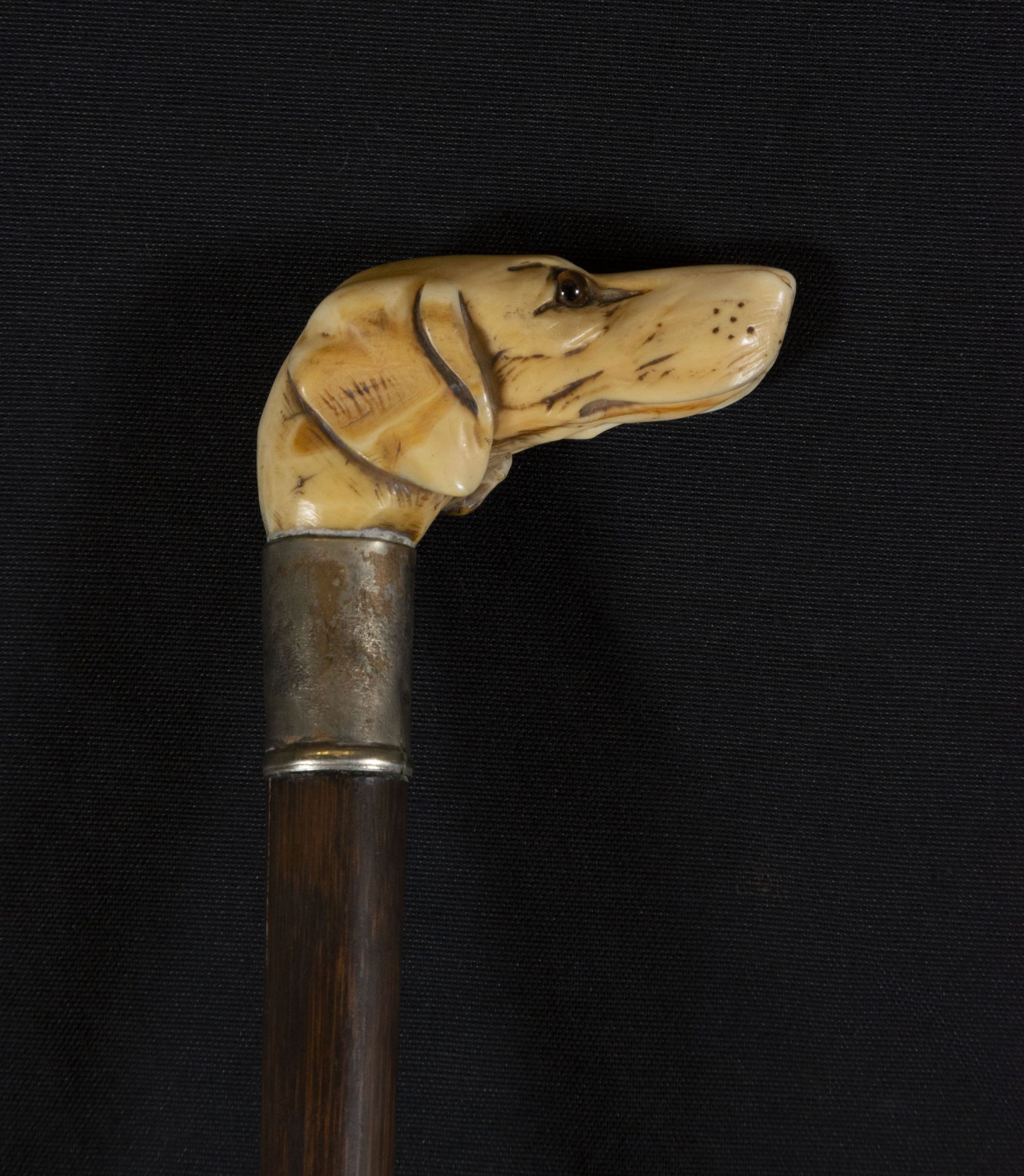 Victorian cane in ebony with embossed silver handle with dog's head carved in deer antler, 19th cent - Bild 2 aus 4