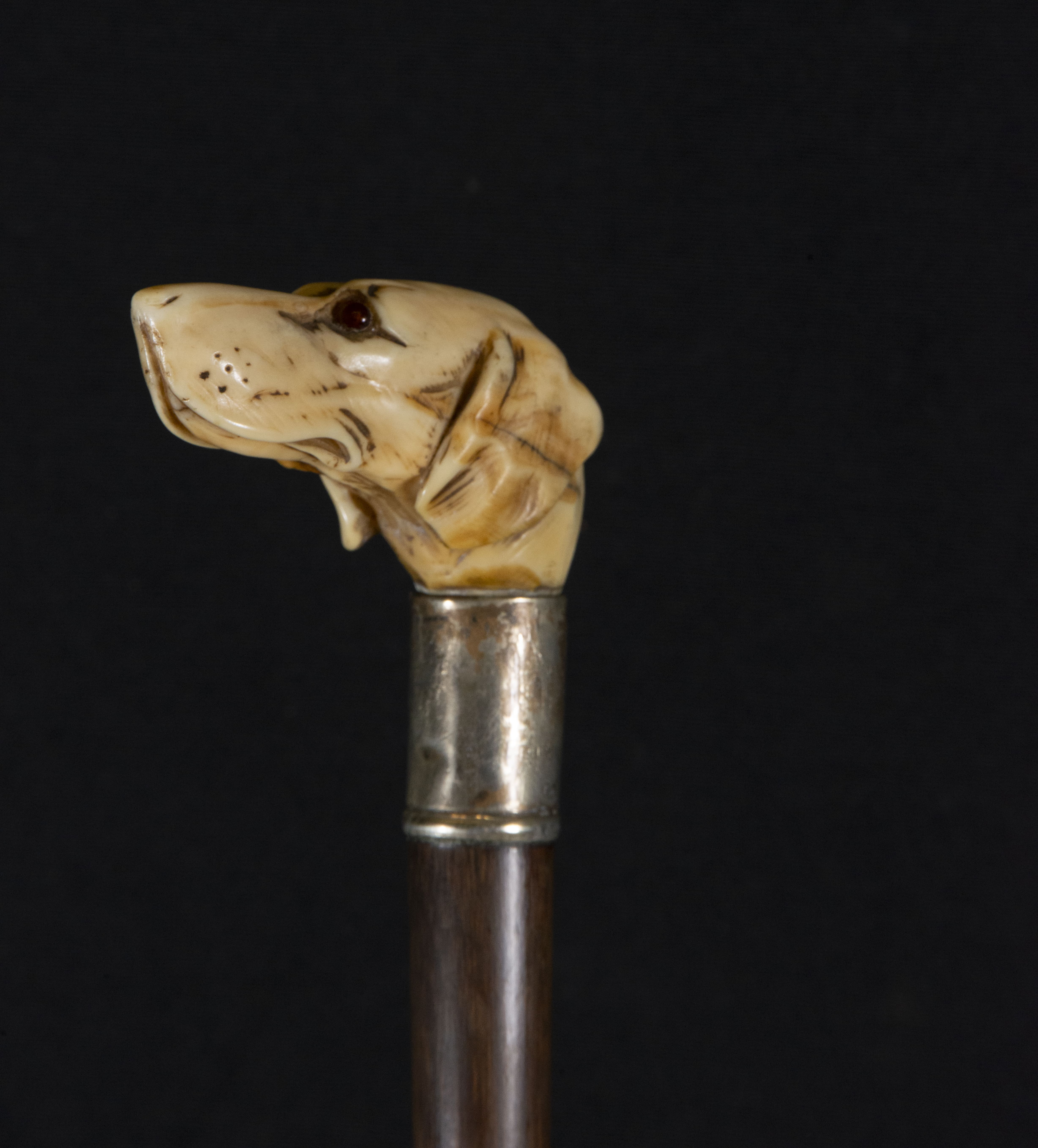 Victorian cane in ebony with embossed silver handle with dog's head carved in deer antler, 19th cent - Image 4 of 4