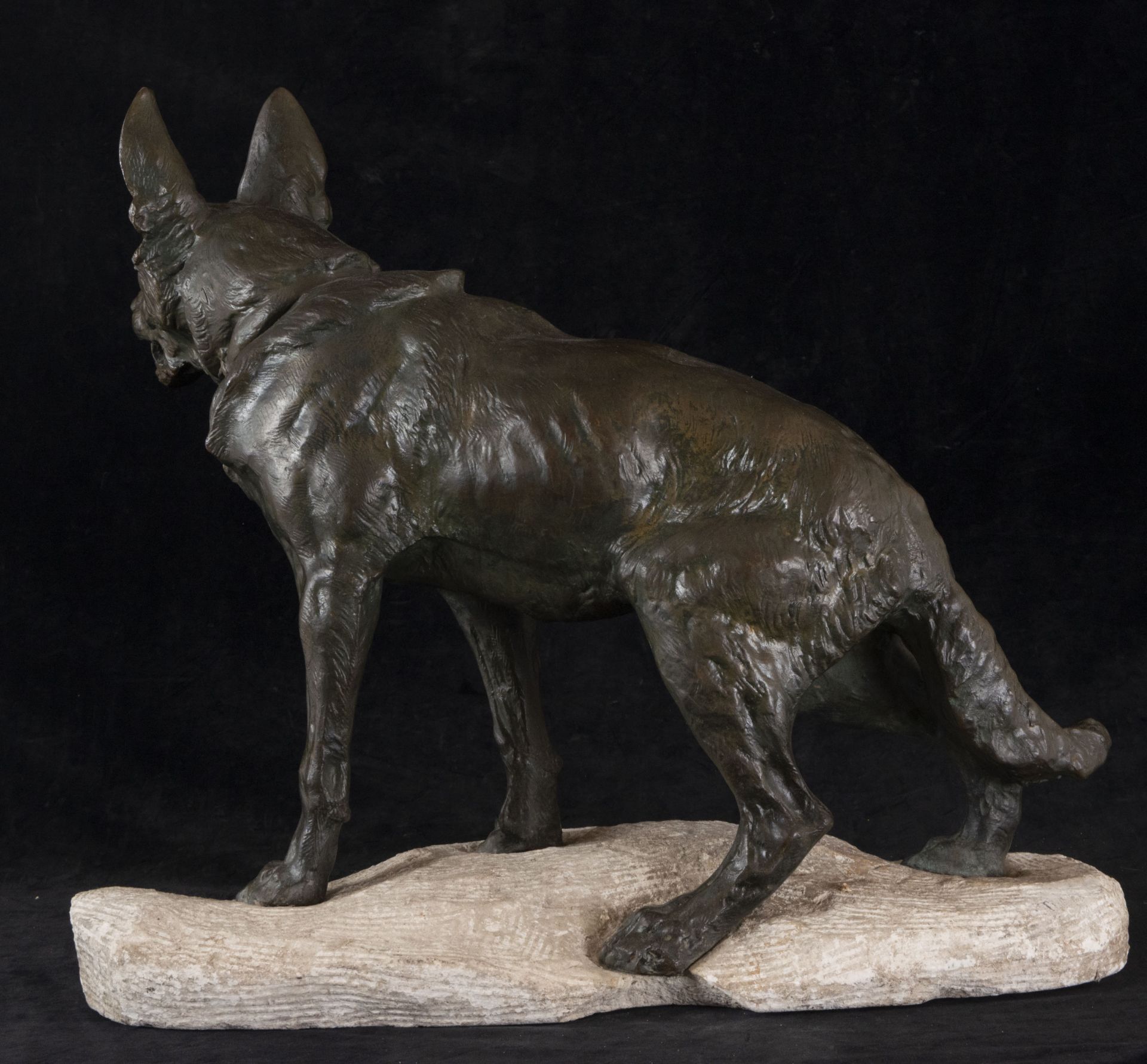 German Shepherd in Bronze, signed on the base Thomas Cartier (1879-1943), 1920s - Image 4 of 4
