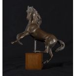 Bronze model of a rampant horse, 19th - 20th centuries