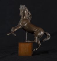 Bronze model of a rampant horse, 19th - 20th centuries