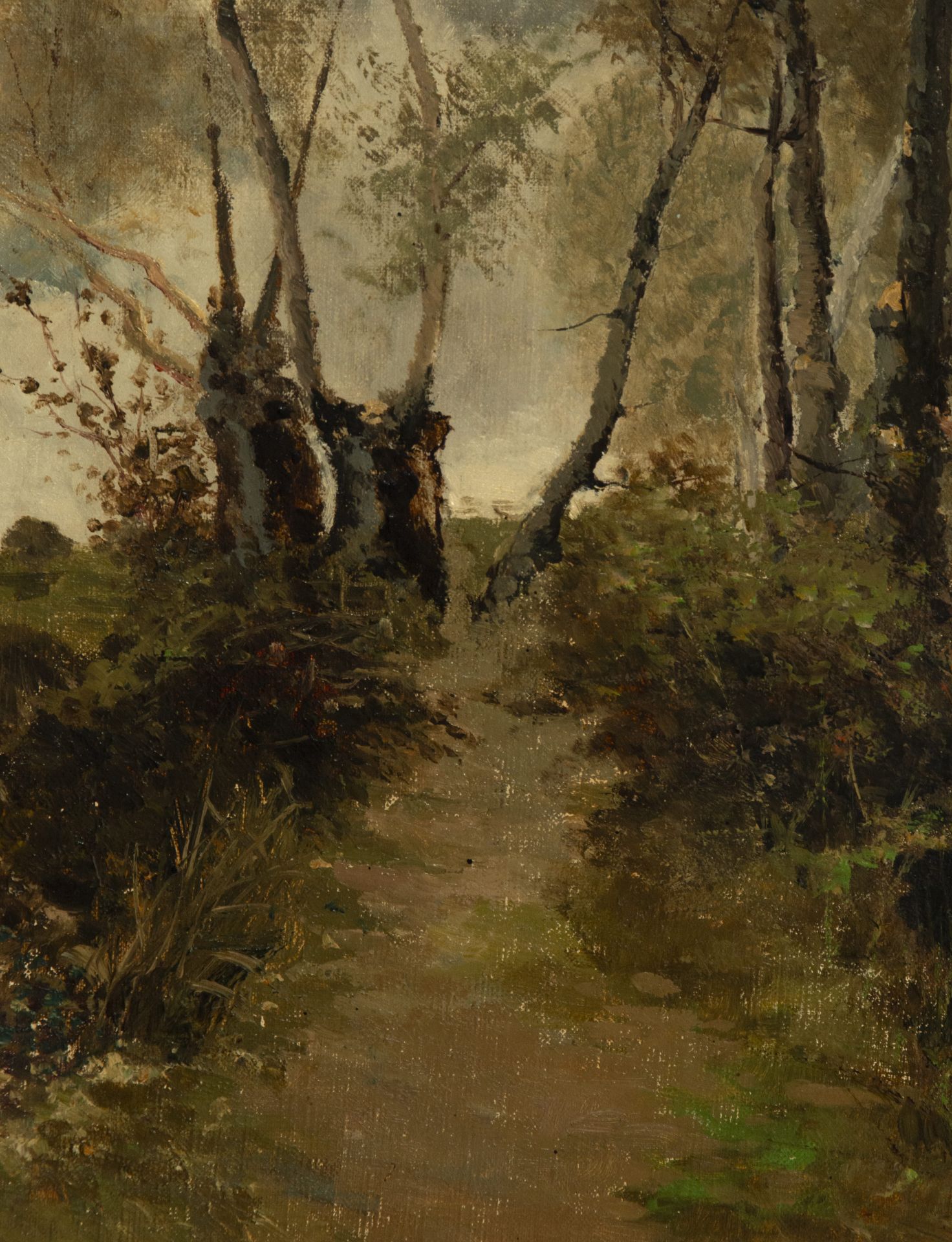 View of Forest, Juan Espina y Capo (Torrejón de Velasco, Madrid, 1848 - Madrid, 1933), 19th century  - Bild 4 aus 5