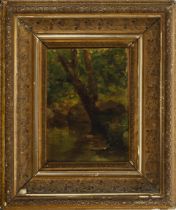 Oil on canvas depicting forest, signed Coll, 19th century