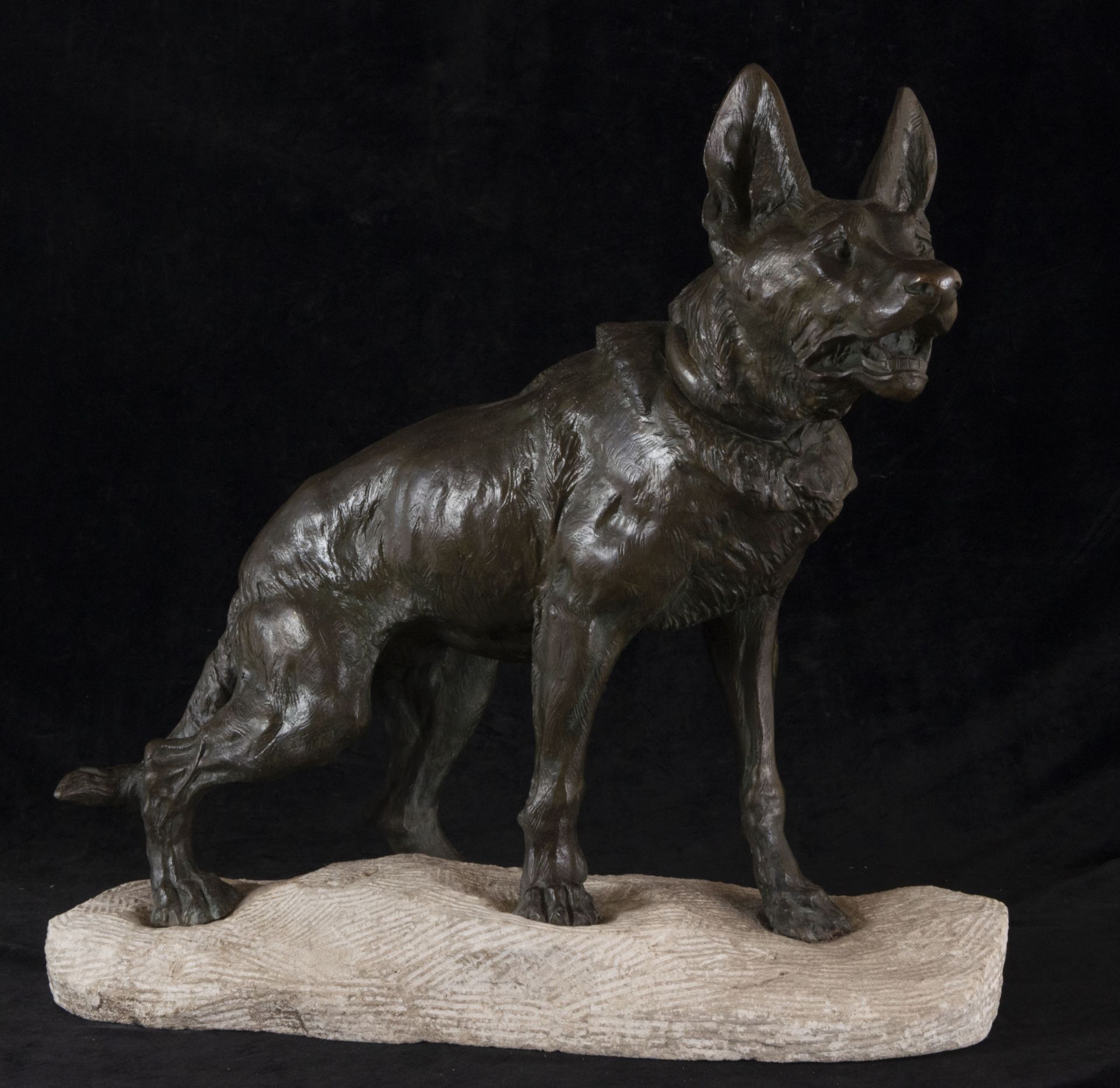 German Shepherd in Bronze, signed on the base Thomas Cartier (1879-1943), 1920s