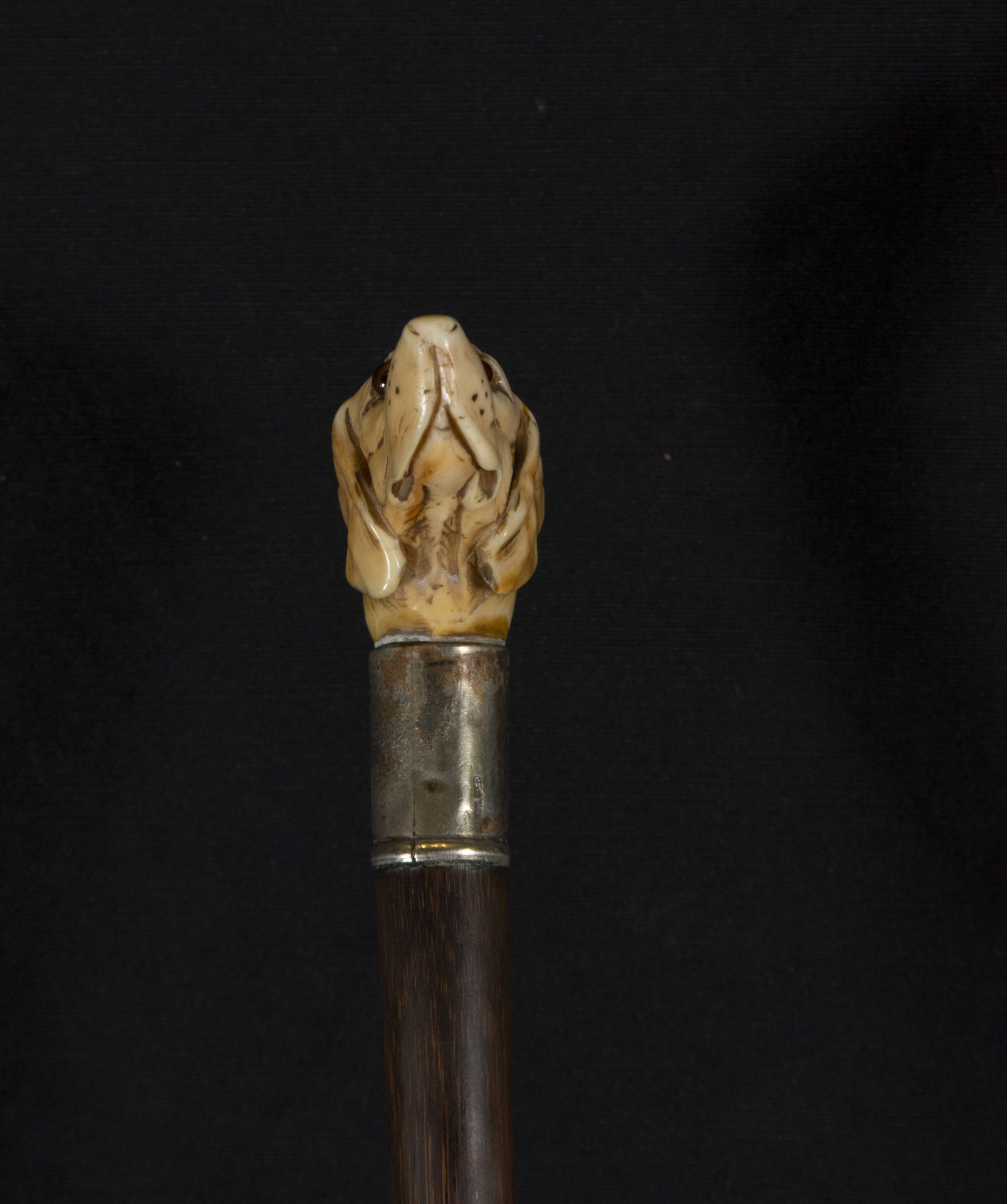 Victorian cane in ebony with embossed silver handle with dog's head carved in deer antler, 19th cent - Bild 3 aus 4