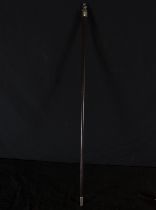 Victorian walking stick in rosewood wood and silver handle with a knight's helmet motif, 19th centur