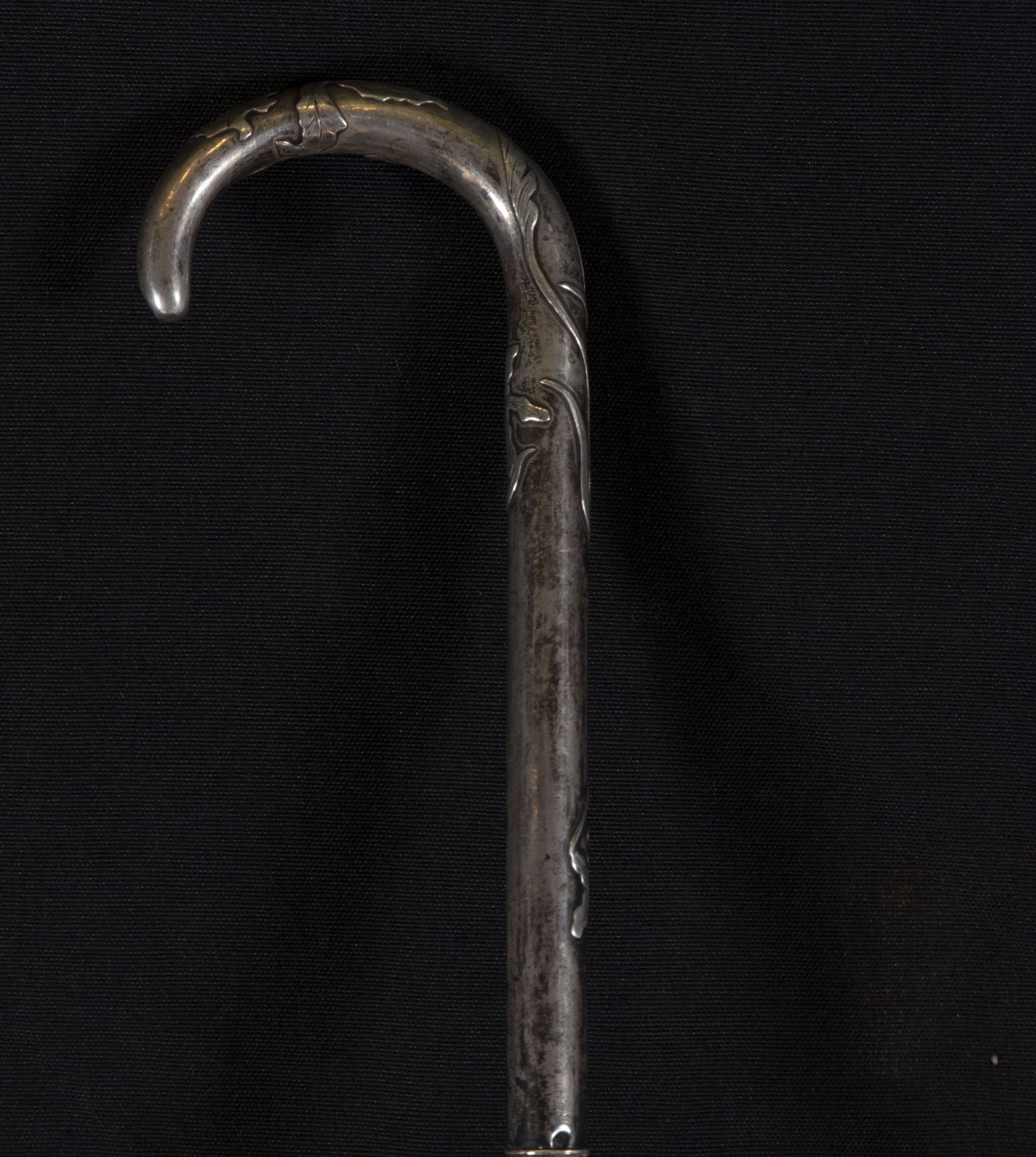 French cane from the beginning of the century with a handle in sterling silver in the Art Nouveau st - Bild 2 aus 3