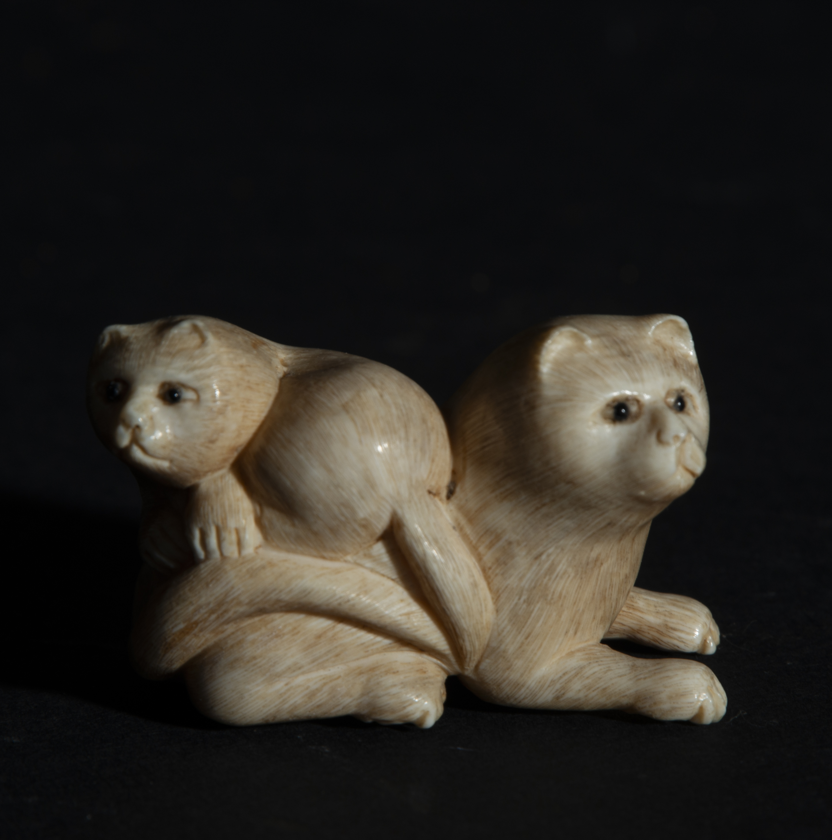 Japanese Netsuke on Mammoth Fang (Mammuthus primigenius) representing Pair of Cats, 19th century Jap