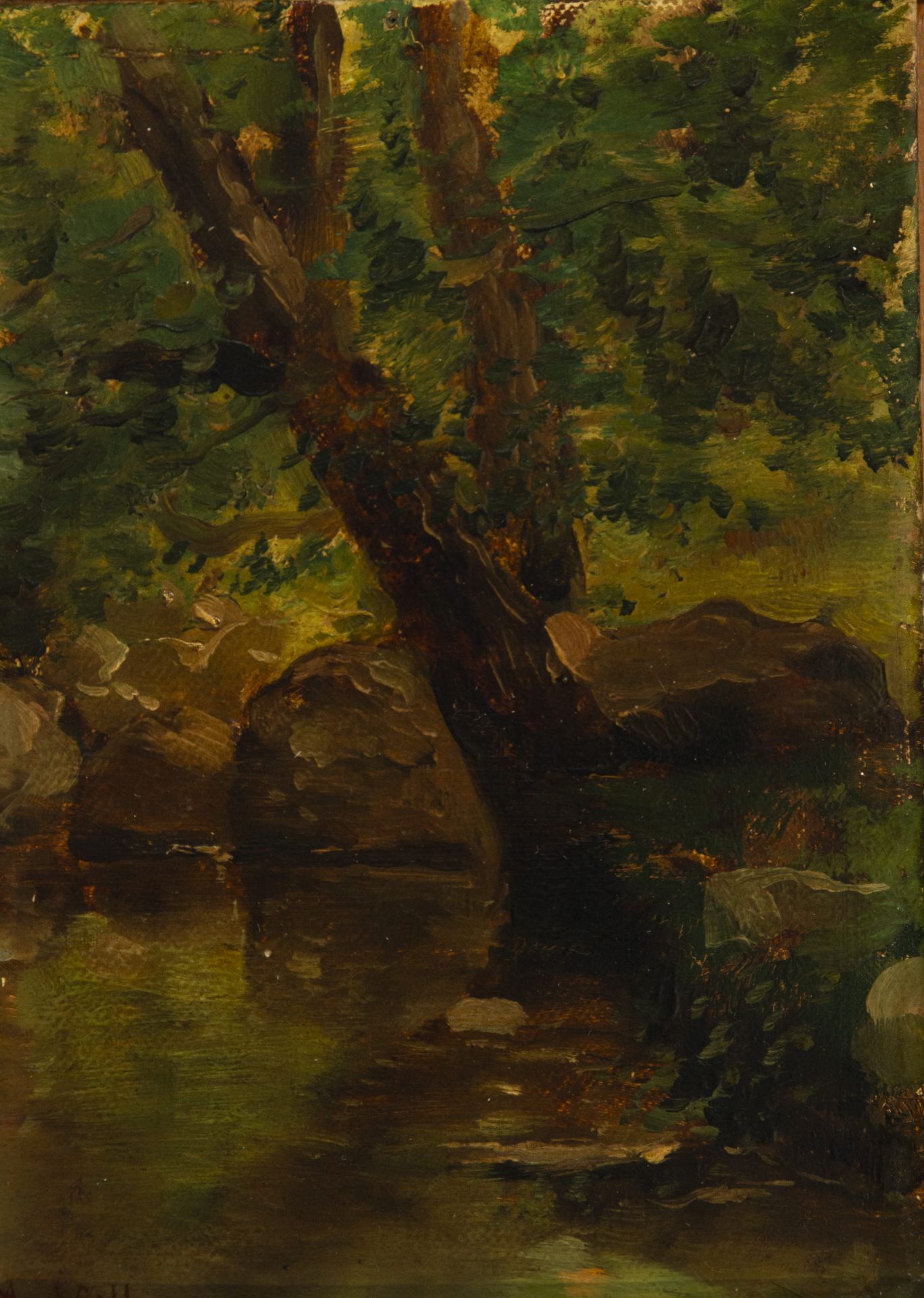 Oil on canvas depicting forest, signed Coll, 19th century - Bild 2 aus 3