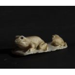 Japanese Netsuke on Mammoth Tusk (Mammuthus primigenius) representing a pair of frogs, 19th century 