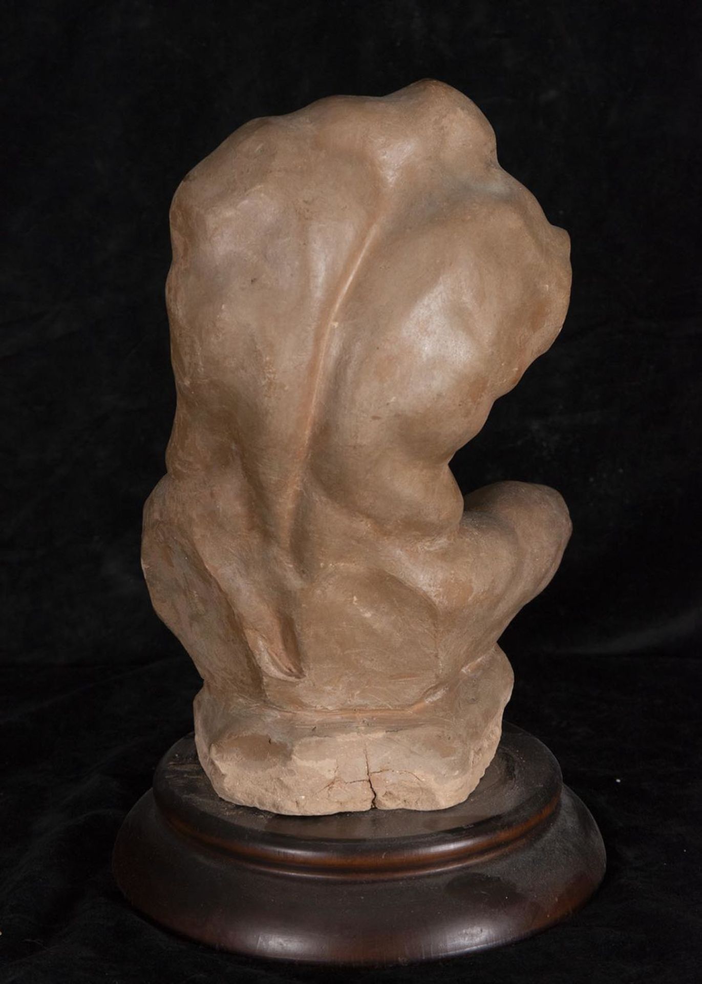 Study of Male Torso in terracotta following Classical models, 19th century French work from the Pari - Image 4 of 4