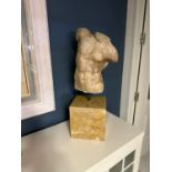 Male Torso in Carrara Marble, following models of Classical Rome, Grand Tour work from the 19th cent