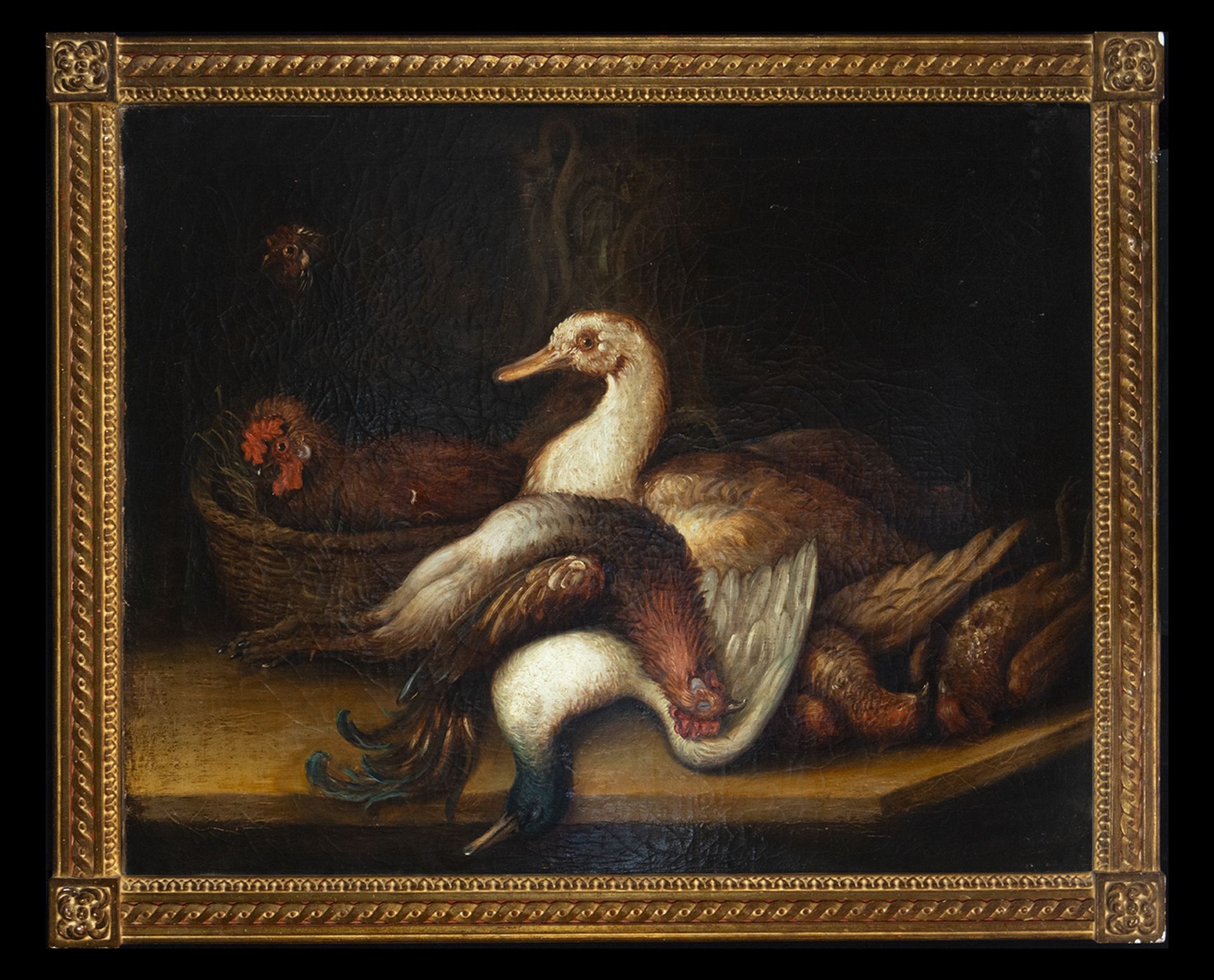 Still Life of Birds from the 18th century - early 19th century, Belgian or Dutch school