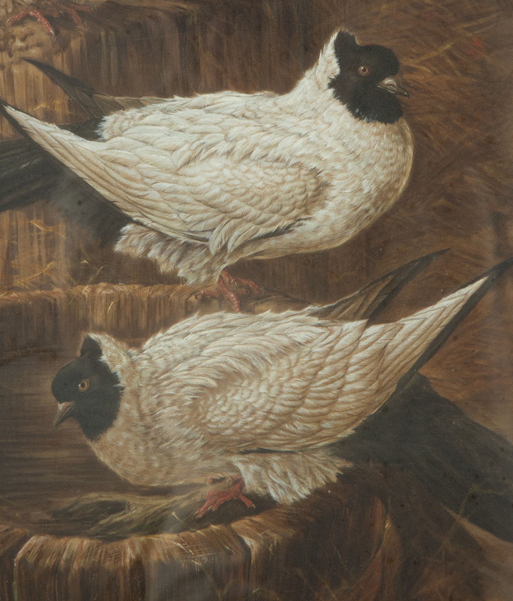 "Pigeons", watercolor on paper, Harold Wright (1897-1964), 19th century English School - Image 2 of 5