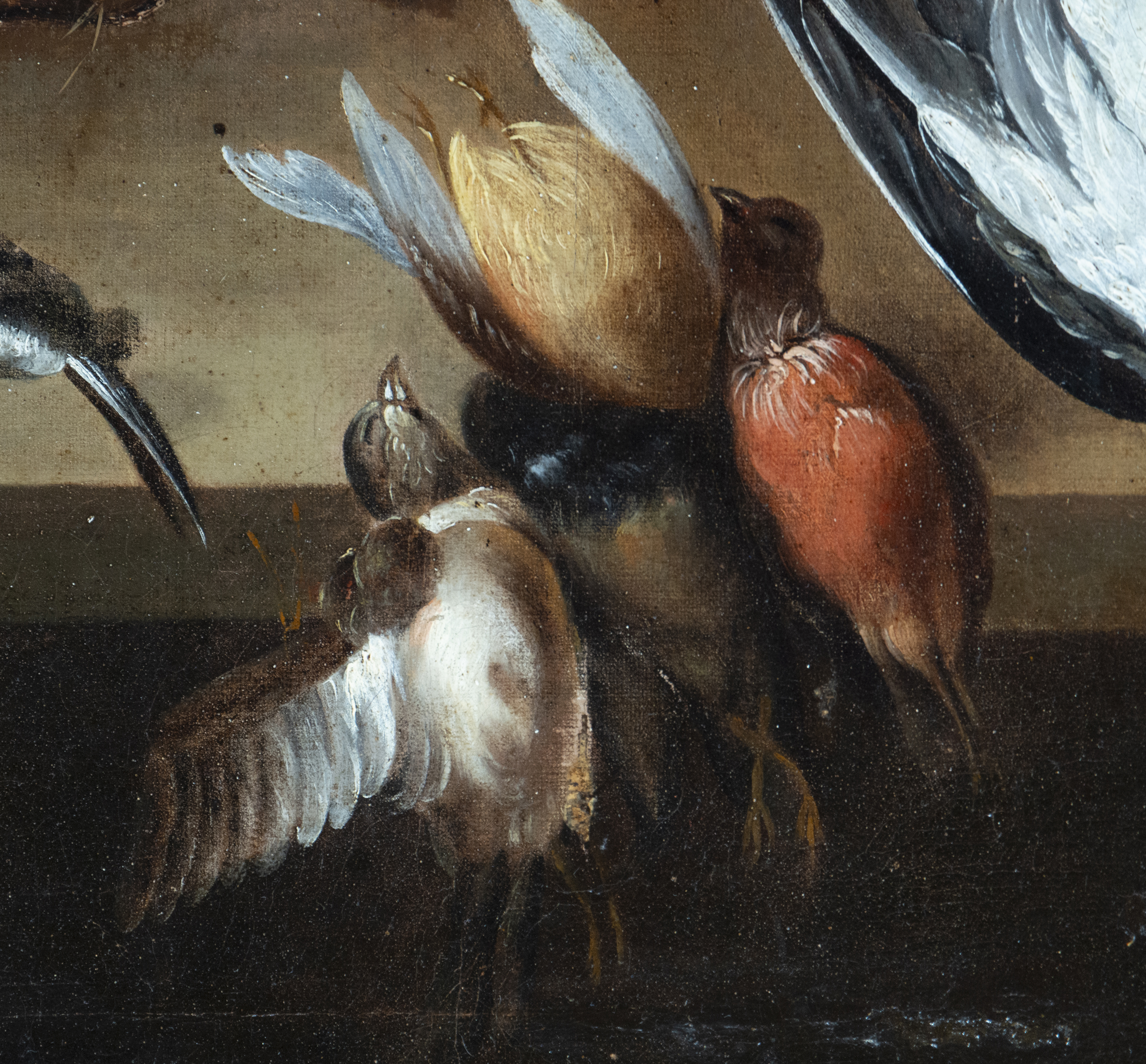 Magnificent hunting still life with parrot from the 17th century, possible attribution/manner of Adr - Image 3 of 6