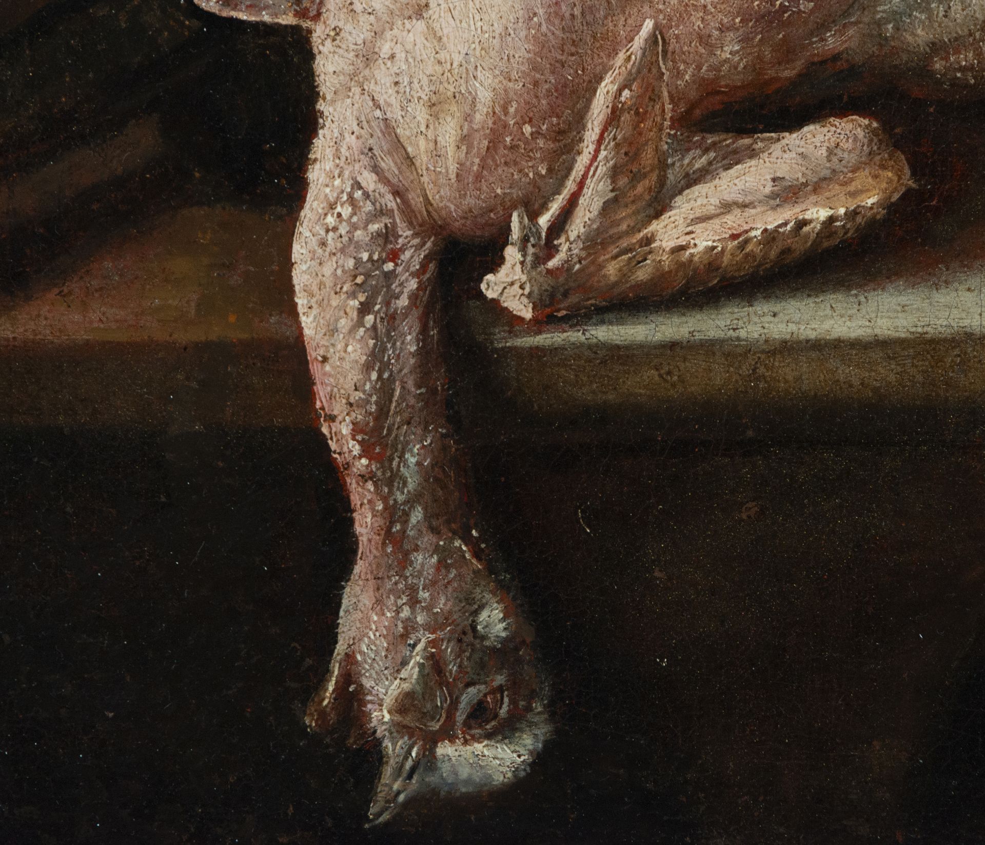 Mariano Nanni, Still Life of Fish with Cat, 18th century Italian school - Image 2 of 7