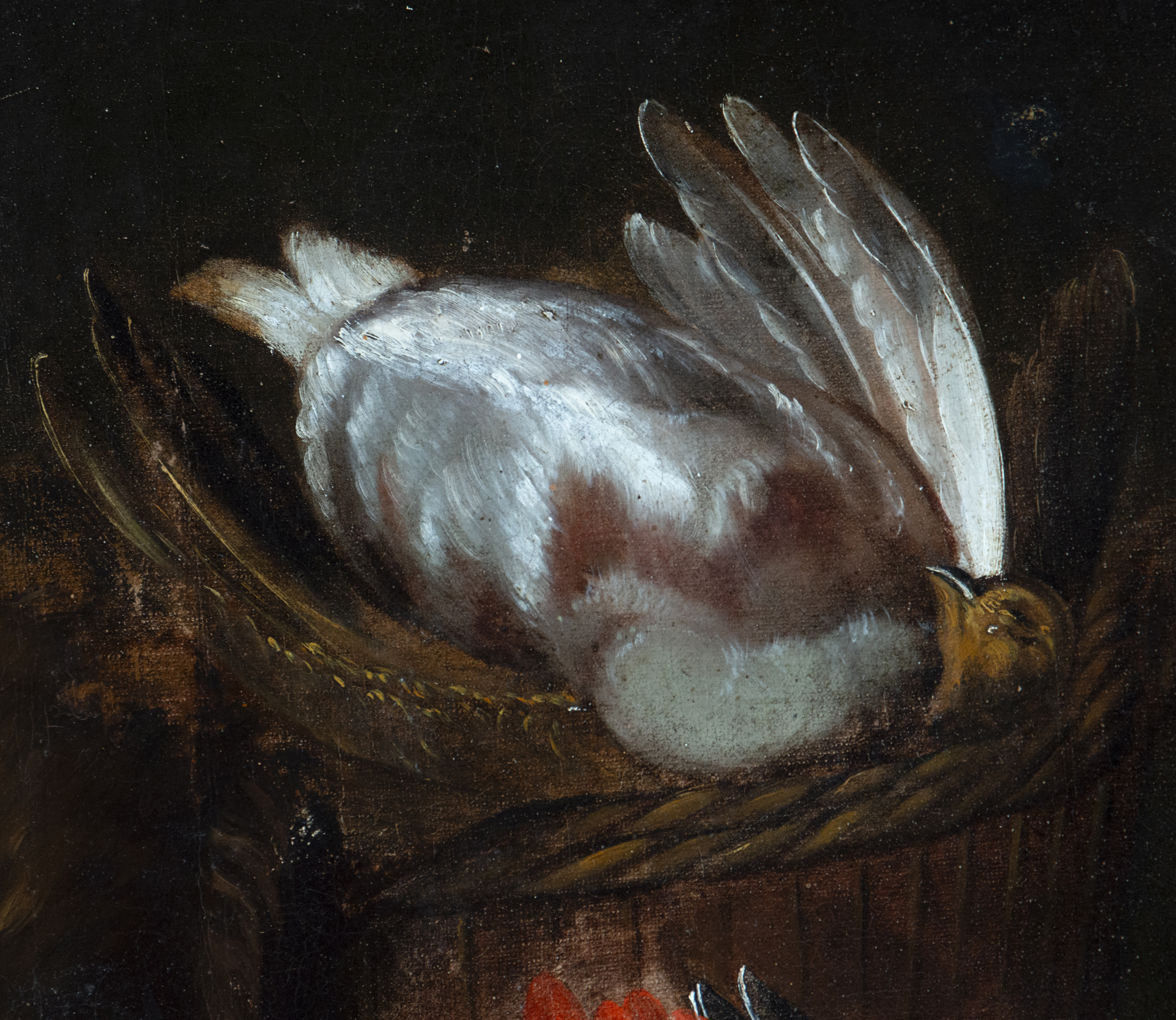 Magnificent hunting still life with parrot from the 17th century, possible attribution/manner of Adr - Image 5 of 6