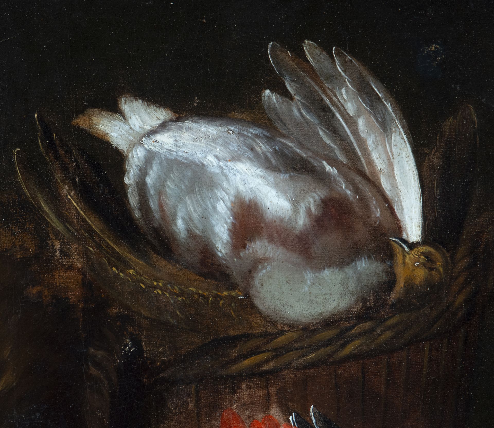 Magnificent hunting still life with parrot from the 17th century, possible attribution/manner of Adr - Bild 5 aus 6