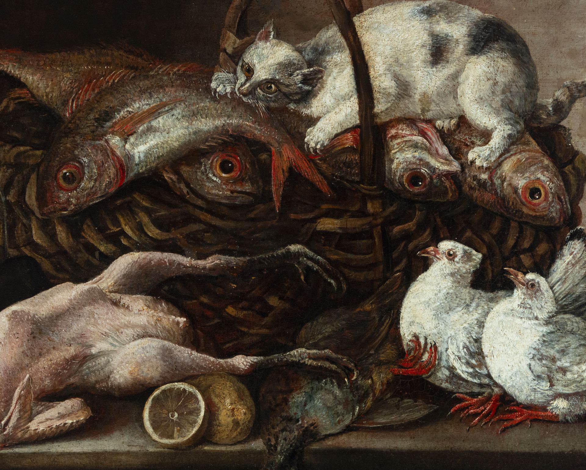 Mariano Nanni, Still Life of Fish with Cat, 18th century Italian school - Image 6 of 7