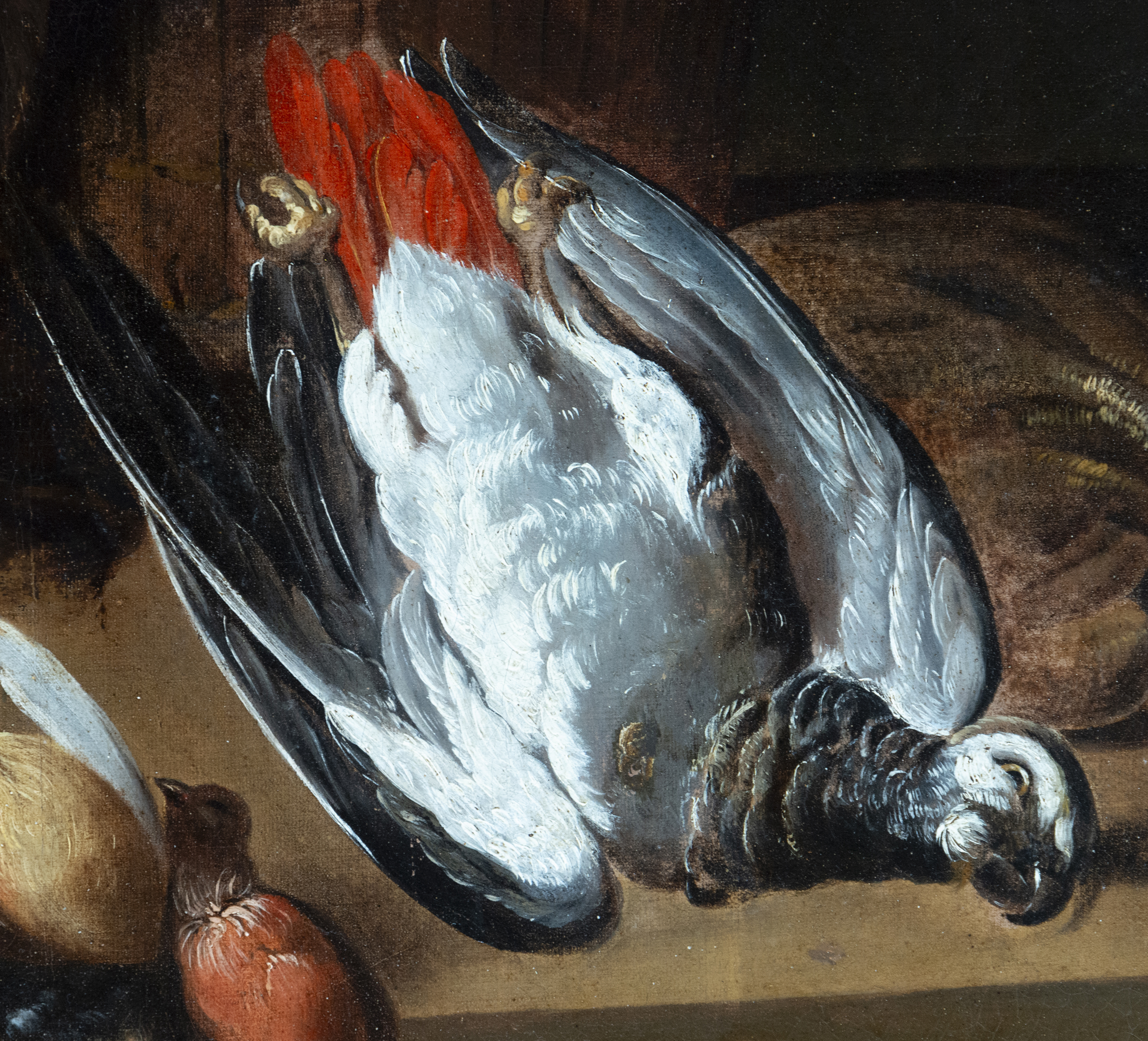 Magnificent hunting still life with parrot from the 17th century, possible attribution/manner of Adr - Image 4 of 6