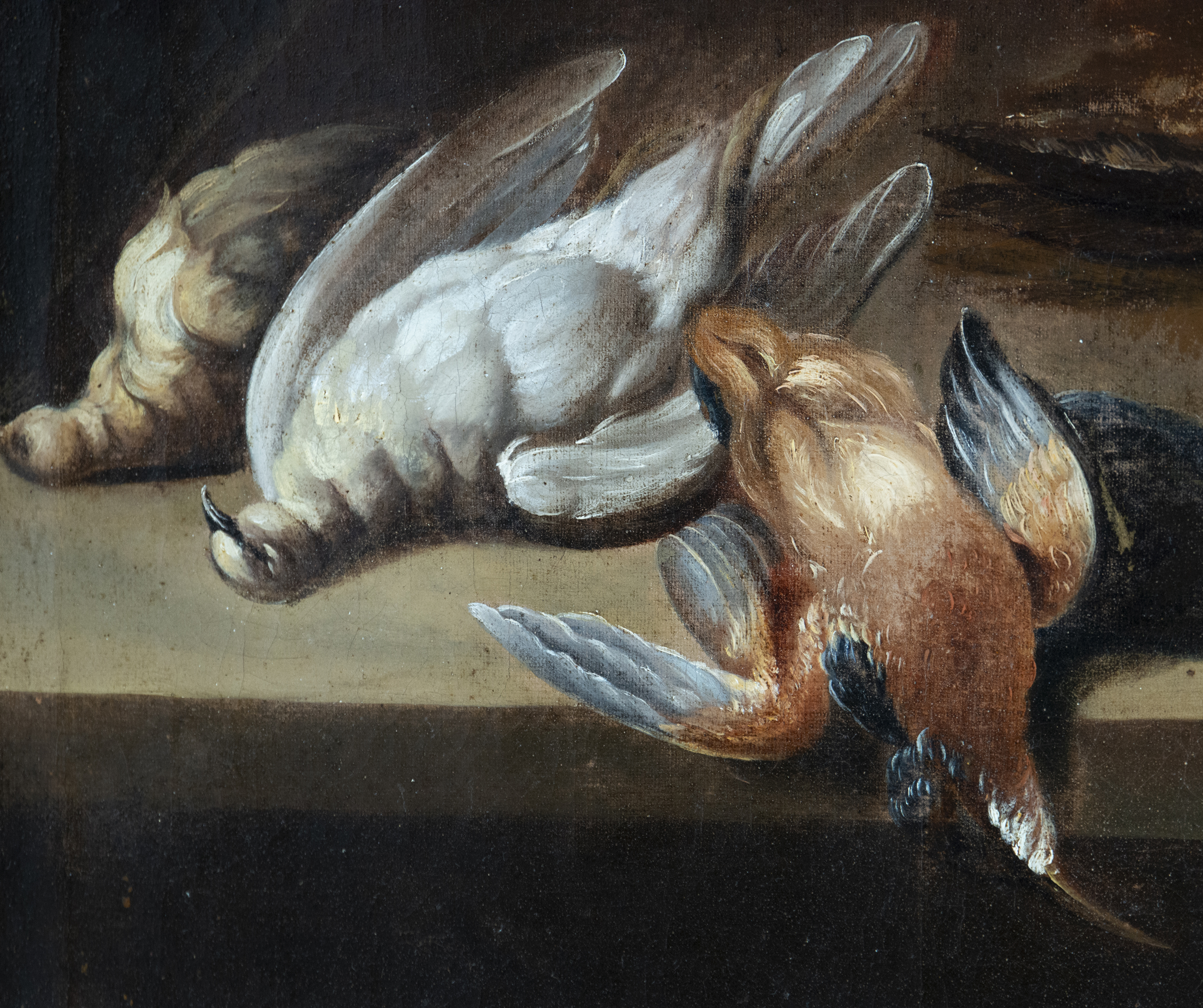 Magnificent hunting still life with parrot from the 17th century, possible attribution/manner of Adr - Image 2 of 6