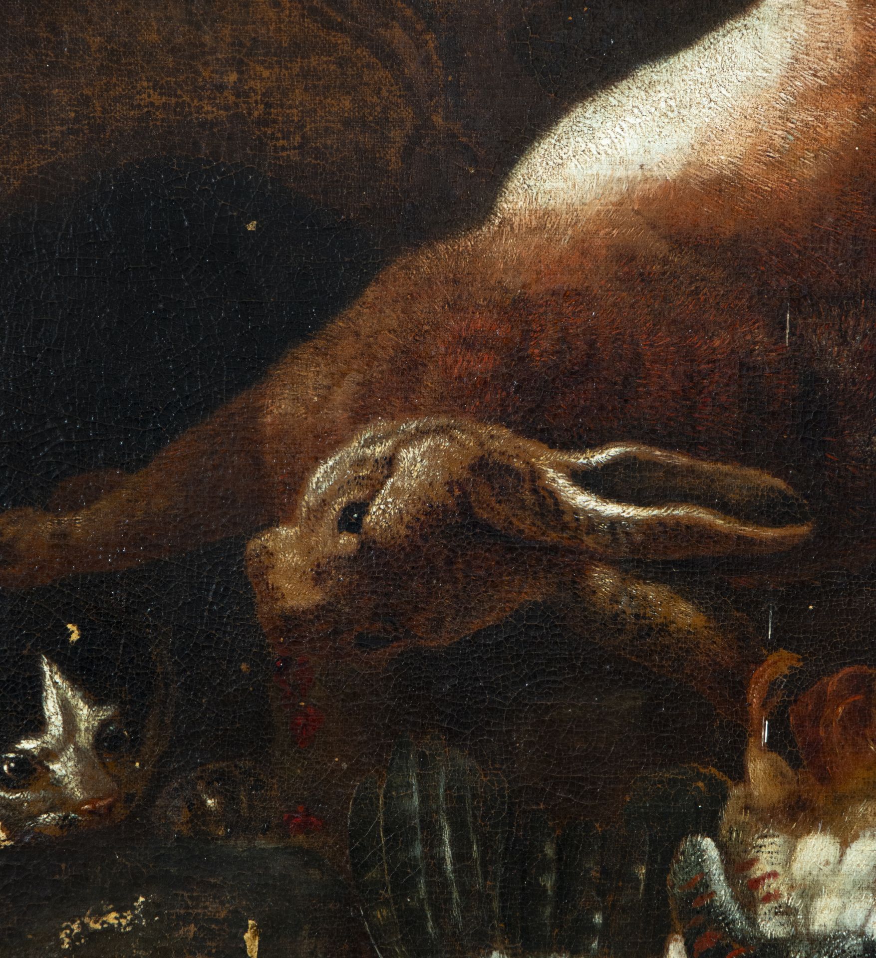 Circle of David Bailly (Leiden 1584-1657), Still Life of Hunting with Hare and Cat, 17th century Dut - Image 5 of 6