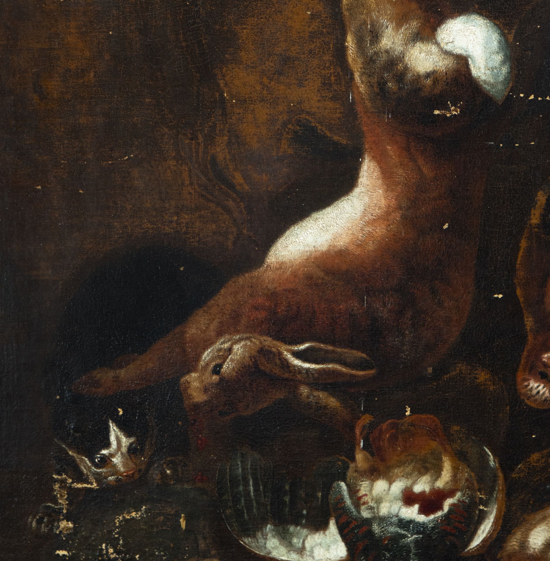 Circle of David Bailly (Leiden 1584-1657), Still Life of Hunting with Hare and Cat, 17th century Dut - Image 2 of 6