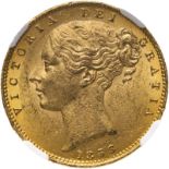 1856 Gold Sovereign NGC MS 62 #6440305-018 (AGW=0.2355 oz.)