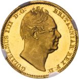 United Kingdom, William IV, 1831 Gold Half-Sovereign, Proof, Plain Edge, Scarce - NGC PF63+ UCAM