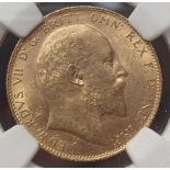 United Kingdom, Edward VII, 1907 Gold Sovereign, NGC MS 63