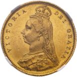 1887 Gold Half-Sovereign Imperfect J DISH L508 NGC MS 63